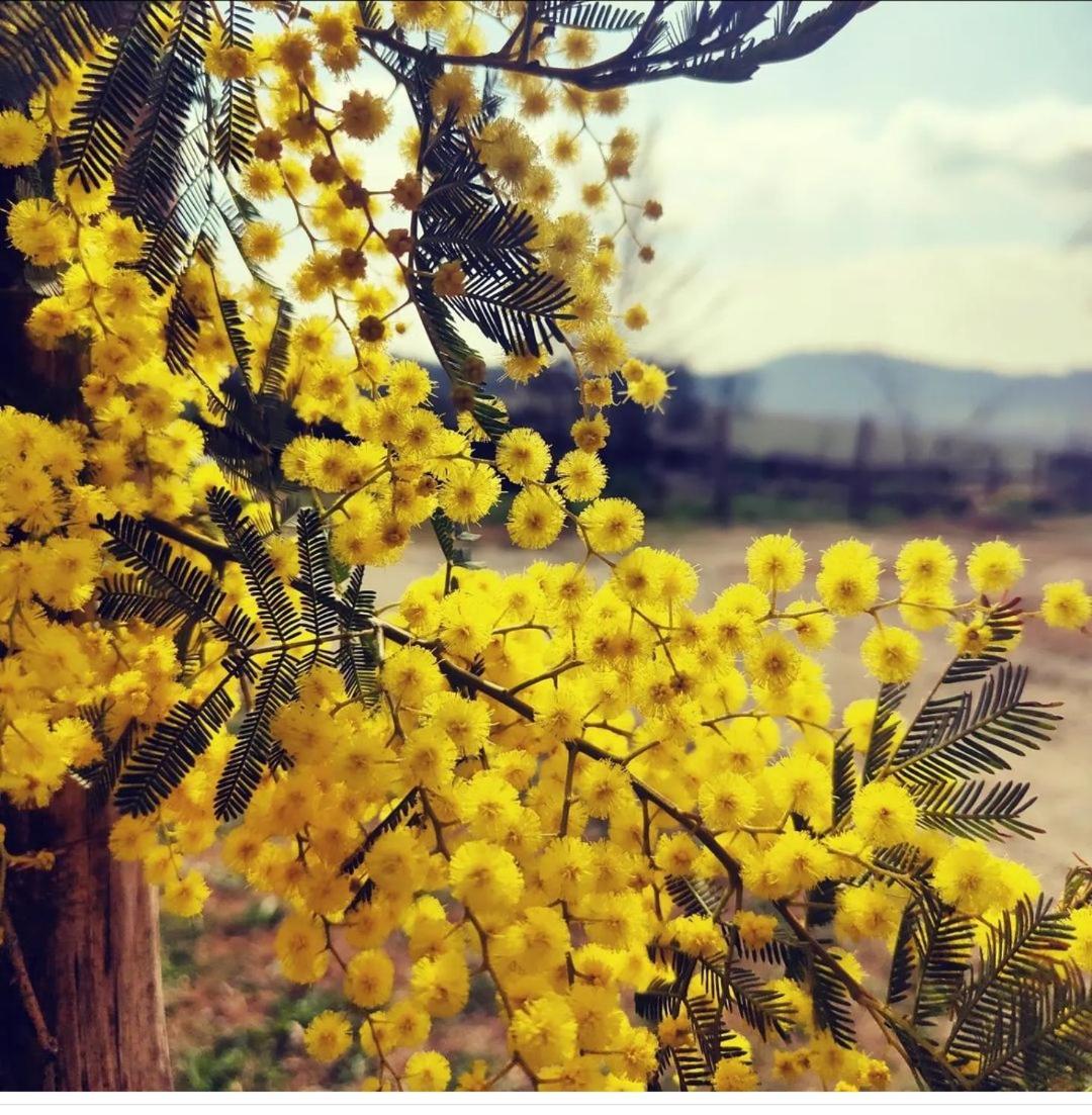 Monfrà - Ospitalità Rurale, Vigneti e Cantina Vignale Exterior foto